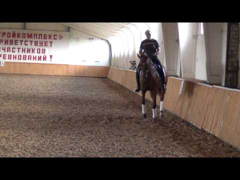 Знахарь сериал 3 сезон дата выхода