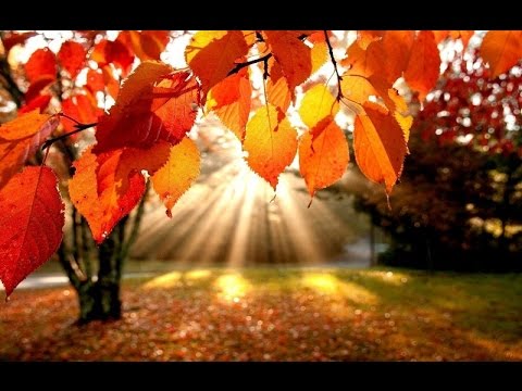 Серия поэтический класс стихи об осени читать