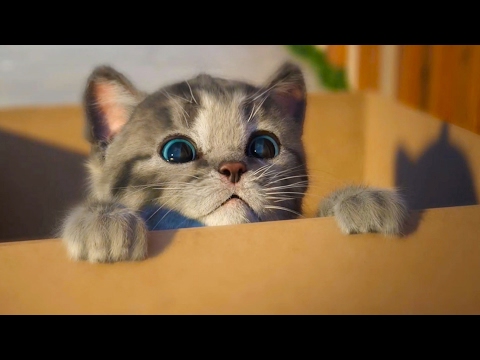 Мультики про смотреть мультики про паровозики все серии подряд без остановки