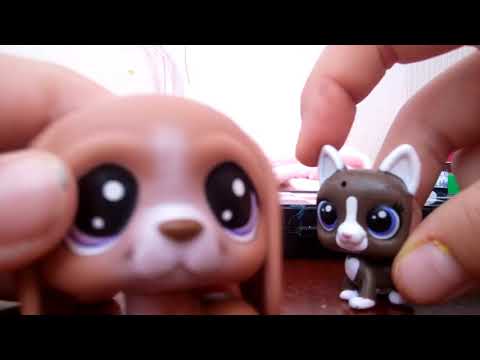 Сумасшедшая семейка 1 сезон 1 серия