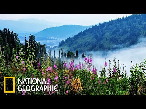 Дикая природа европы смотреть онлайн все серии