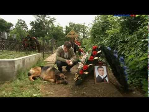 Лорд пес полицейский все серии смотреть онлайн