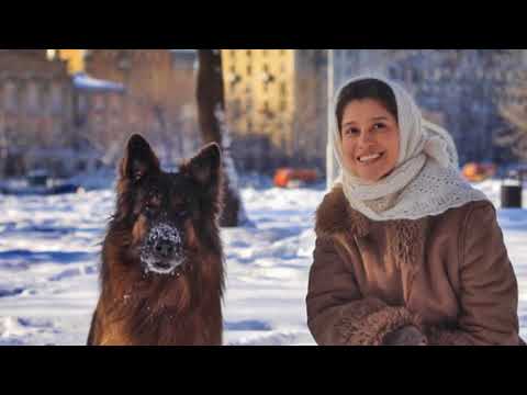 А у нас во дворе сериал википедия