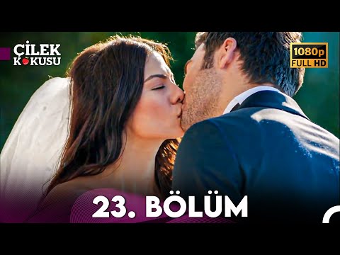 Запах клубники турецкий сериал на русском языке 24 серия на русском языке