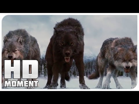 Герои объединяются сериал кадры