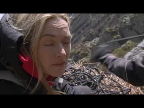 Сериал звездное выживание с беаром гриллсом