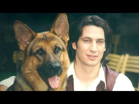 Смотреть сериал комиссар рекс бесплатно в хорошем качестве