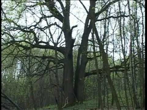 Банда золота сериал