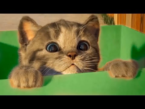 Детский сериал о мохнатом пришельце