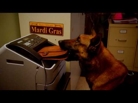 Энджи трайбека сериал 4 сезон дата выхода