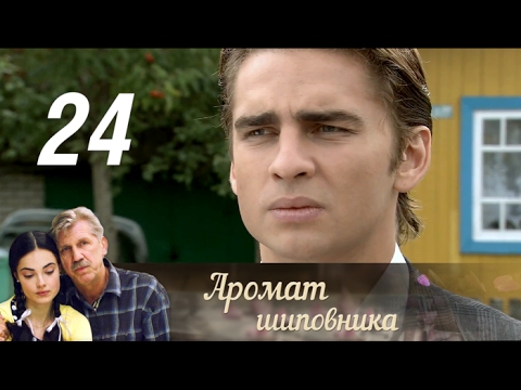 Аромат шиповника все серии на ютубе