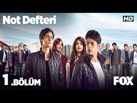 Дневник памяти турецкий сериал