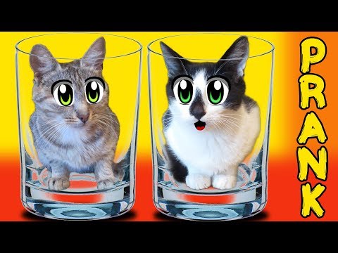 Анюта и ярослав новые серии