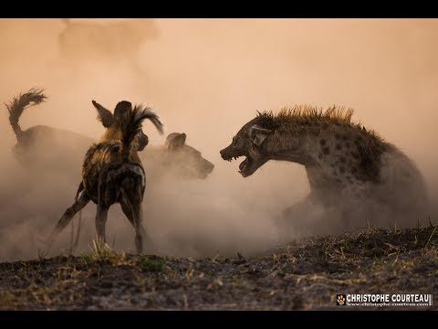 Сериал bbc идеальные убийцы