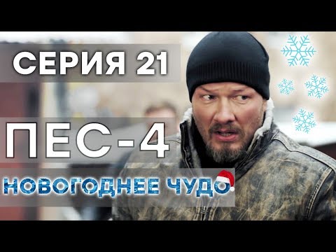 Пес сериал пес 21 серия