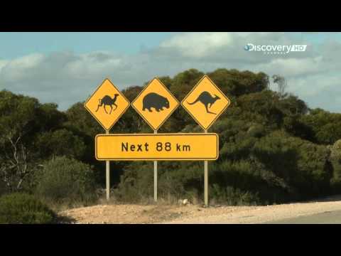 Австралийские дальнобойщики на дискавери все серии