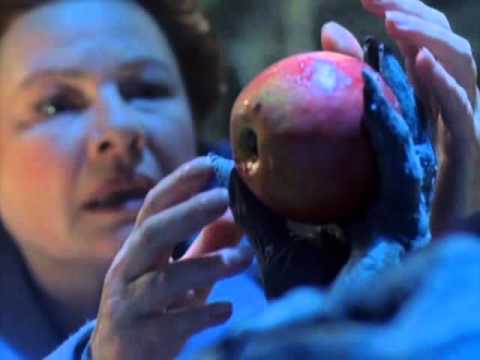 Десятое королевство 4 серия