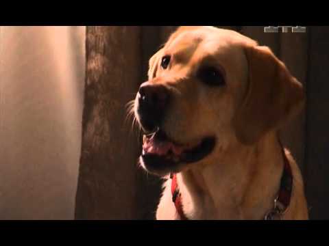 Смотреть сериал маргоша смотреть онлайн бесплатно все серии в хорошем качестве