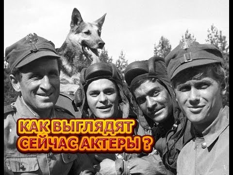 Смотреть сериал онлайн четыре танкиста и собака