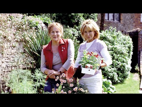 Розмари и тайм сериал смотреть