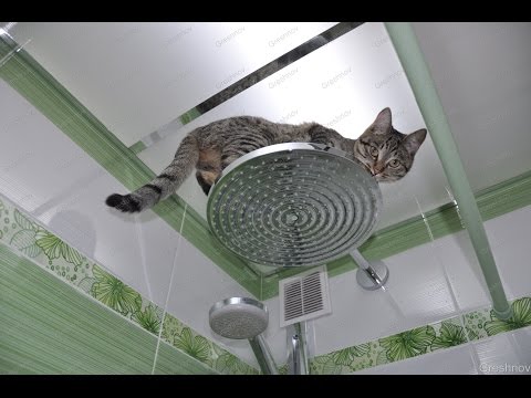 П 30 серия дома