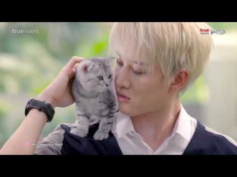 Корейский сериал озорной поцелуй тайская версия