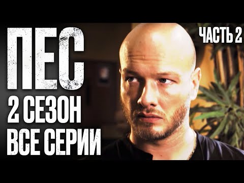 Смотреть фильмы онлайн сериал пес 2 сезон
