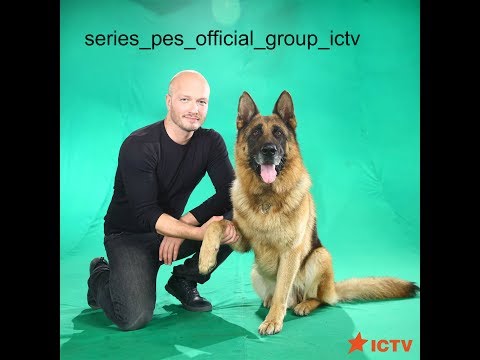 Пес сериал 2015 смотреть сериал онлайн 2 сезон 21 серия