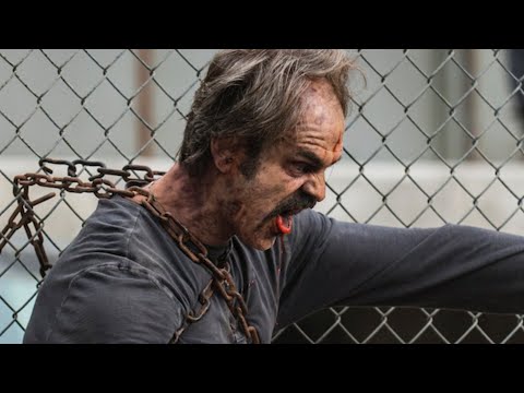 Сериал ходячие мертвецы 5