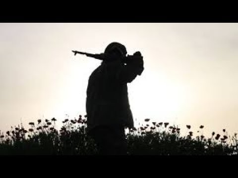 Сериал огненное кольцо