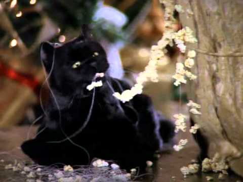 Сериал сабрина маленькая ведьма 1 сезон 3 серия