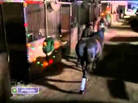 Фаворит сериал 2005 википедия Фаворит сериал 2005 википедия