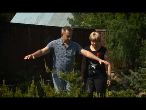 Ландшафтные хитрости видео 2016 год новые серии видео