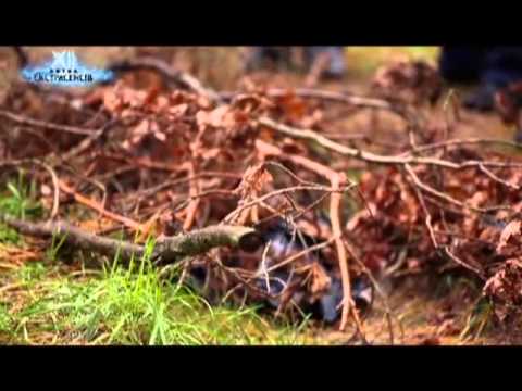 Битва экстрасенсов сезон 12 битва экстрасенсов сезон 12 серия смотреть онлайн