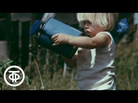 Смотреть онлайн сериал во саду ли в огороде