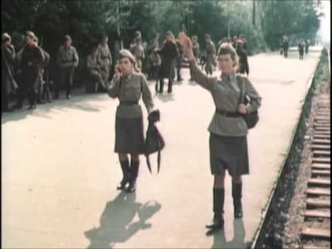 Сашка краткое содержание сериал