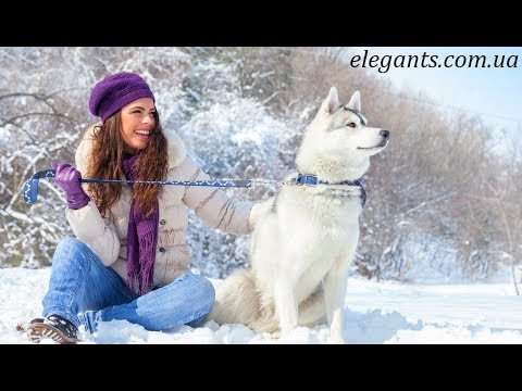 Животные сериал смотреть онлайн