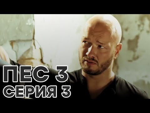 Сериал пес новые серии 2017 3 сезон 3 серия