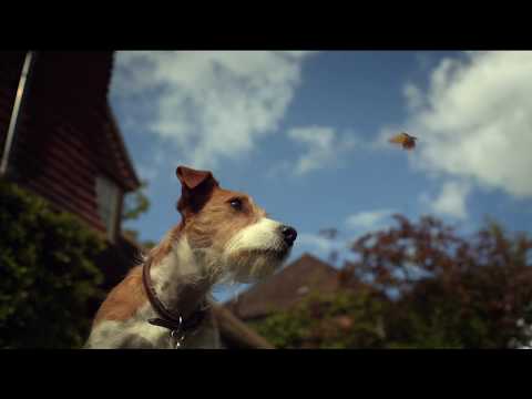 Сериал чисто английское убийство 18 сезон смотреть онлайн бесплатно