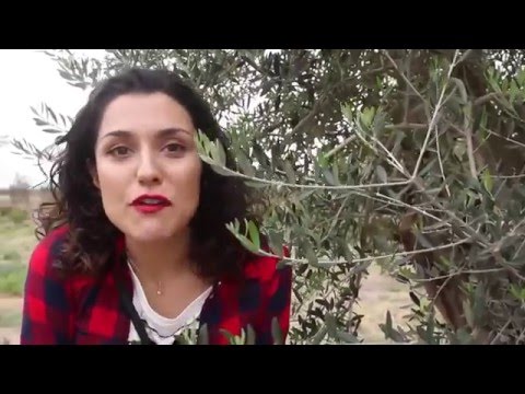 Виолетта сериал аргентина