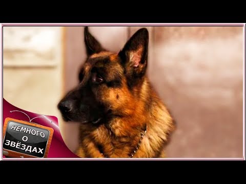 Девочки гилмор википедия сериал Девочки гилмор википедия сериал