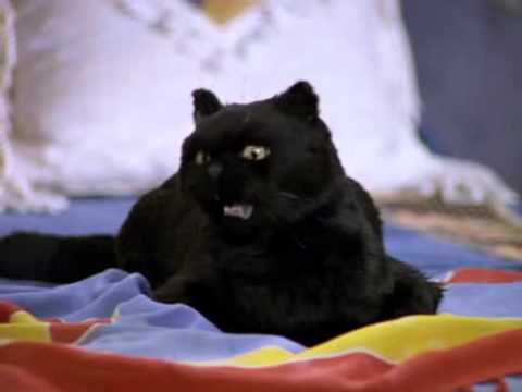 Сериал с черным говорящим котом