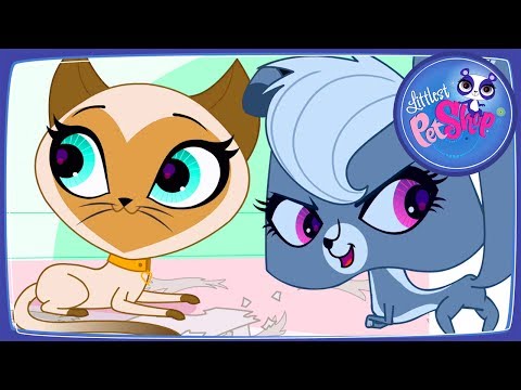 Мультики маленький зоомагазин новые серии 2016